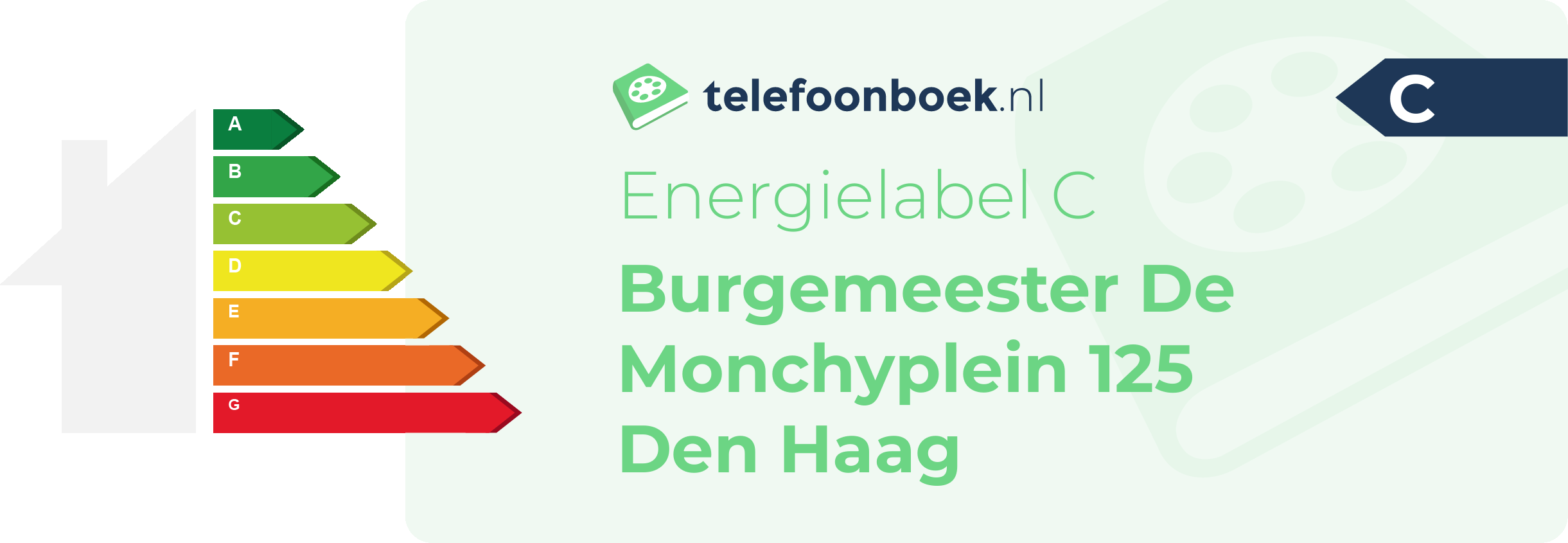 Energielabel Burgemeester De Monchyplein 125 Den Haag