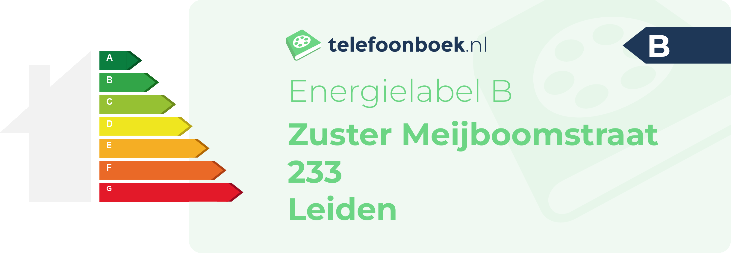 Energielabel Zuster Meijboomstraat 233 Leiden