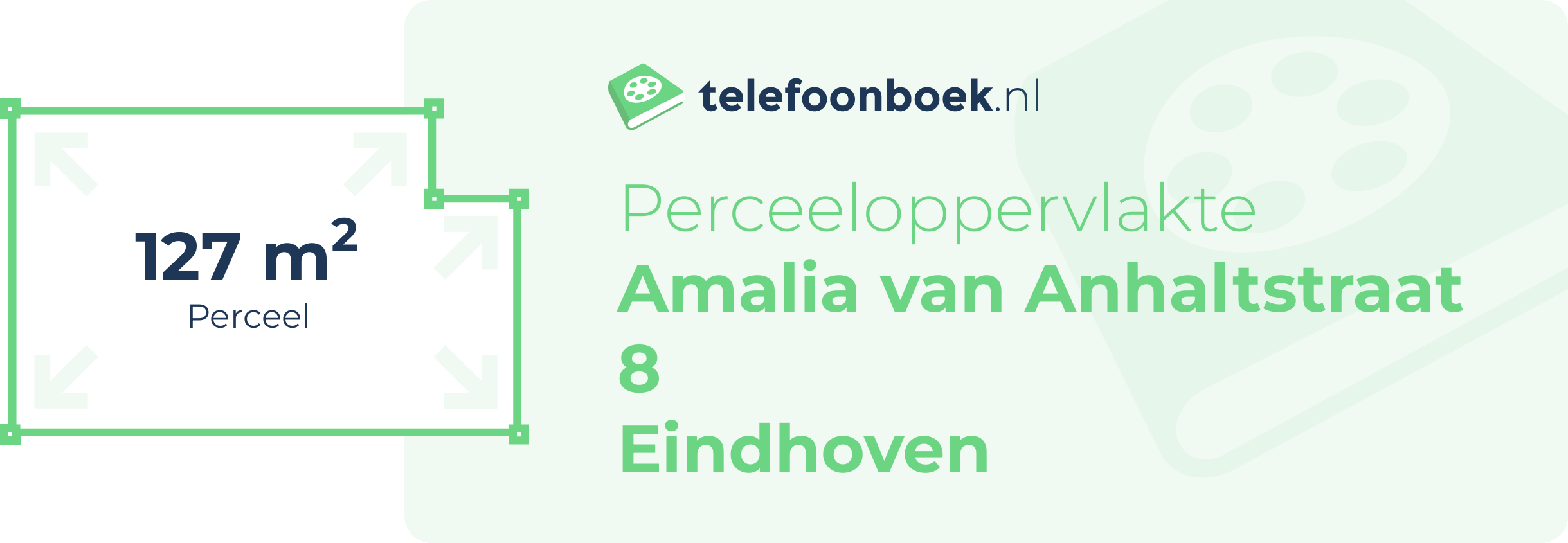 Perceeloppervlakte Amalia Van Anhaltstraat 8 Eindhoven