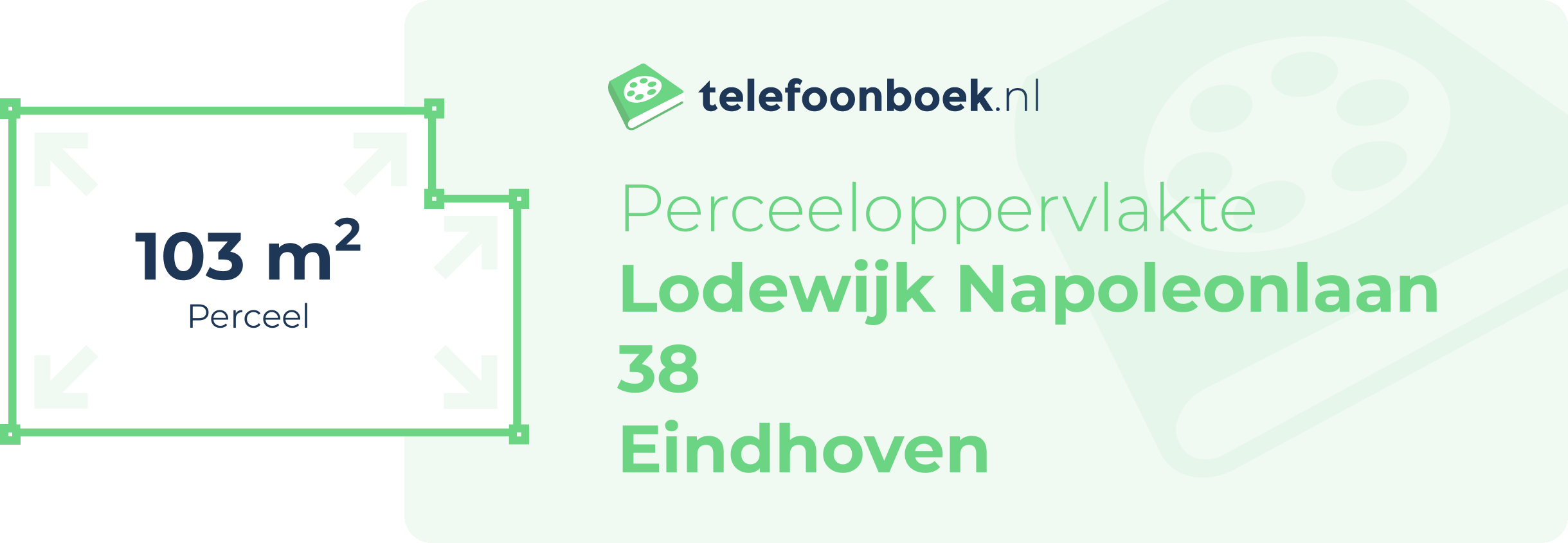 Perceeloppervlakte Lodewijk Napoleonlaan 38 Eindhoven