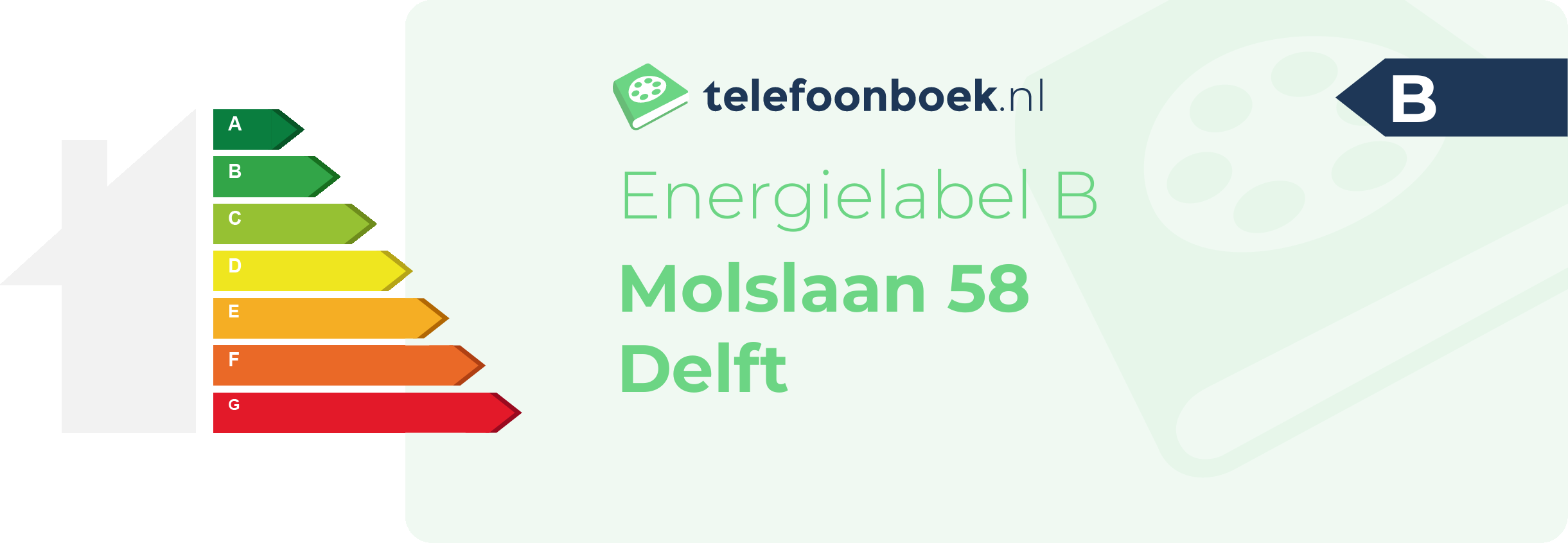 Energielabel Molslaan 58 Delft