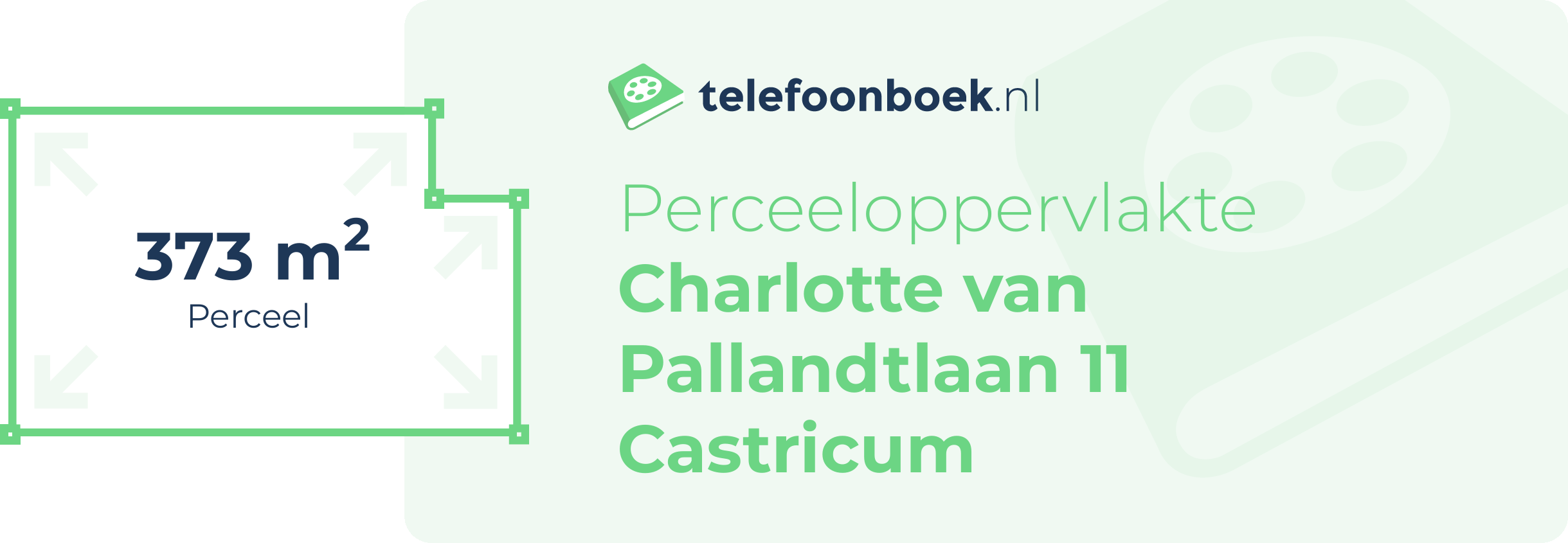 Perceeloppervlakte Charlotte Van Pallandtlaan 11 Castricum