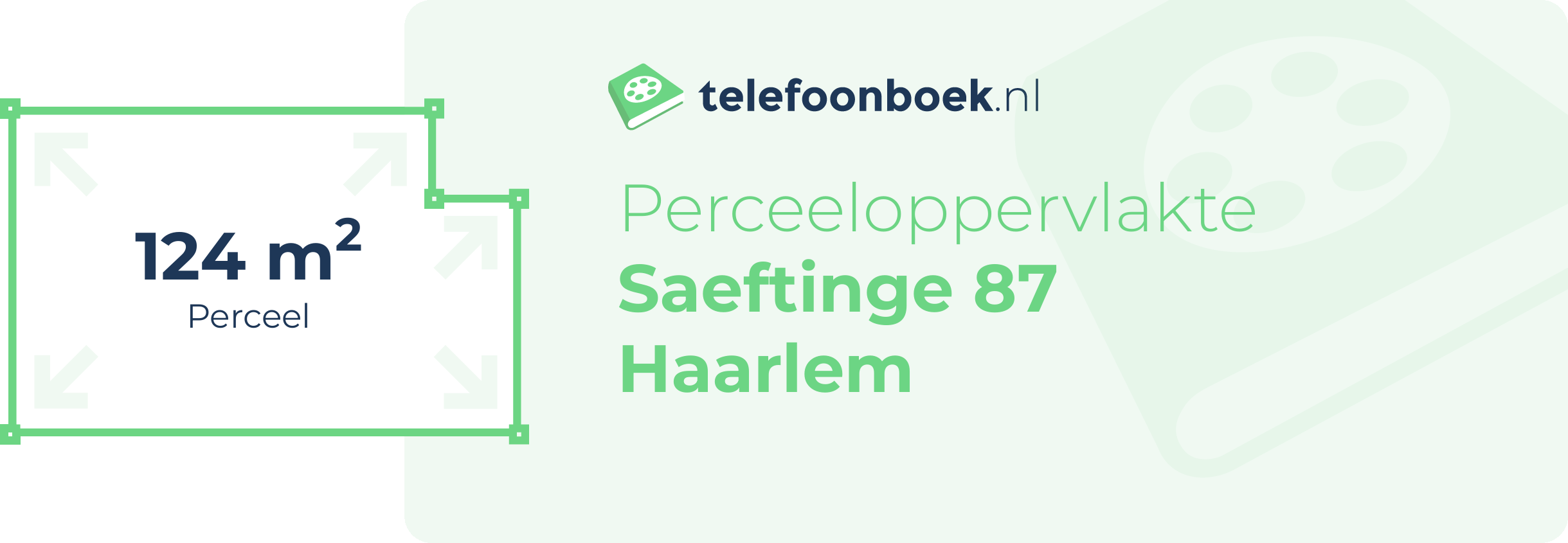 Perceeloppervlakte Saeftinge 87 Haarlem