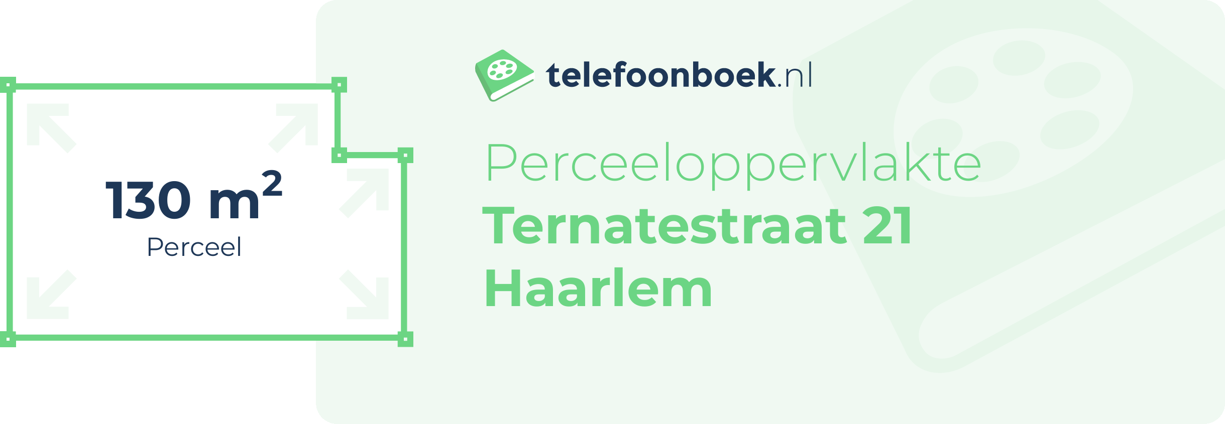Perceeloppervlakte Ternatestraat 21 Haarlem