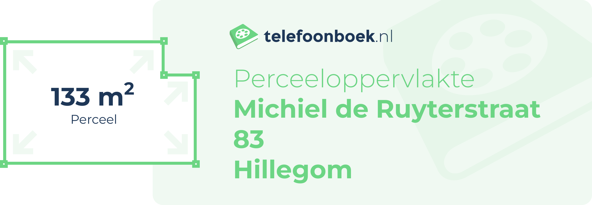 Perceeloppervlakte Michiel De Ruyterstraat 83 Hillegom