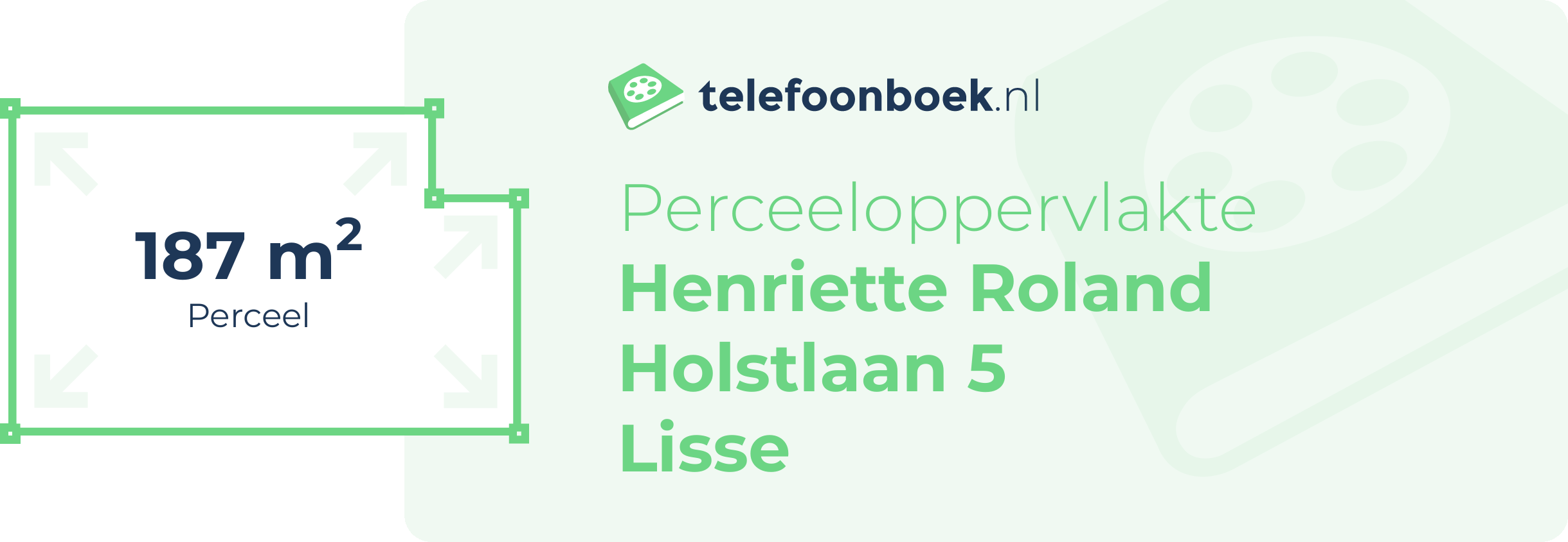 Perceeloppervlakte Henriette Roland Holstlaan 5 Lisse