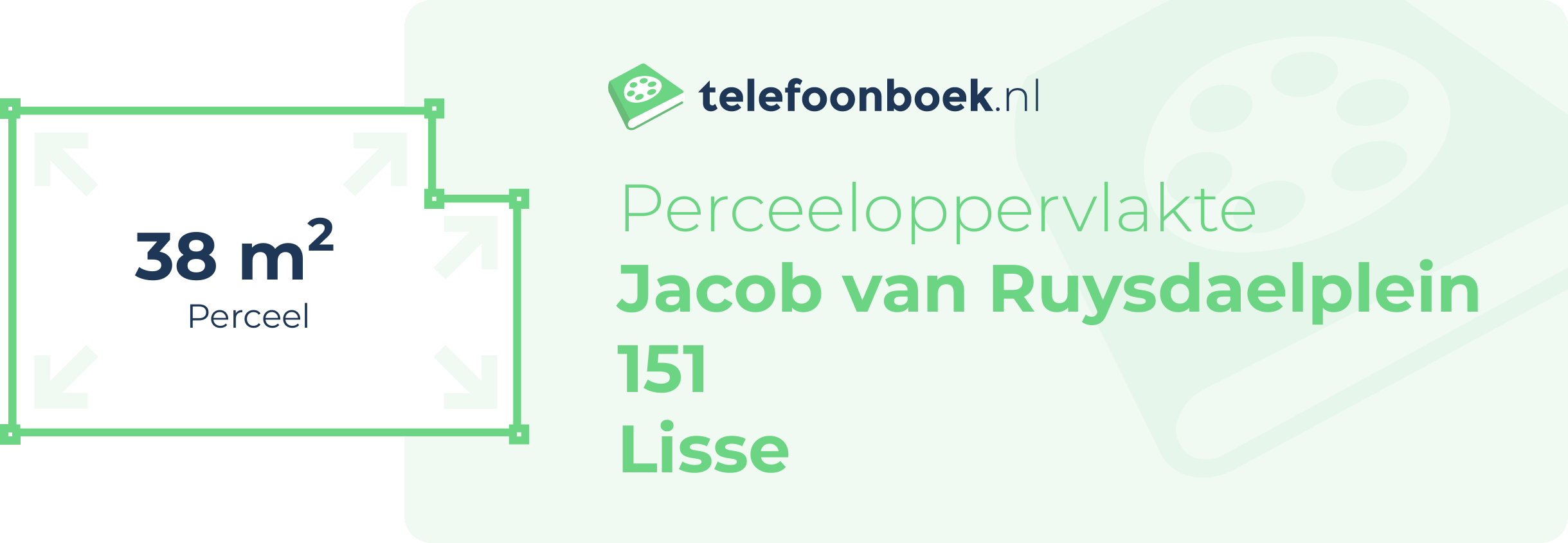 Perceeloppervlakte Jacob Van Ruysdaelplein 151 Lisse