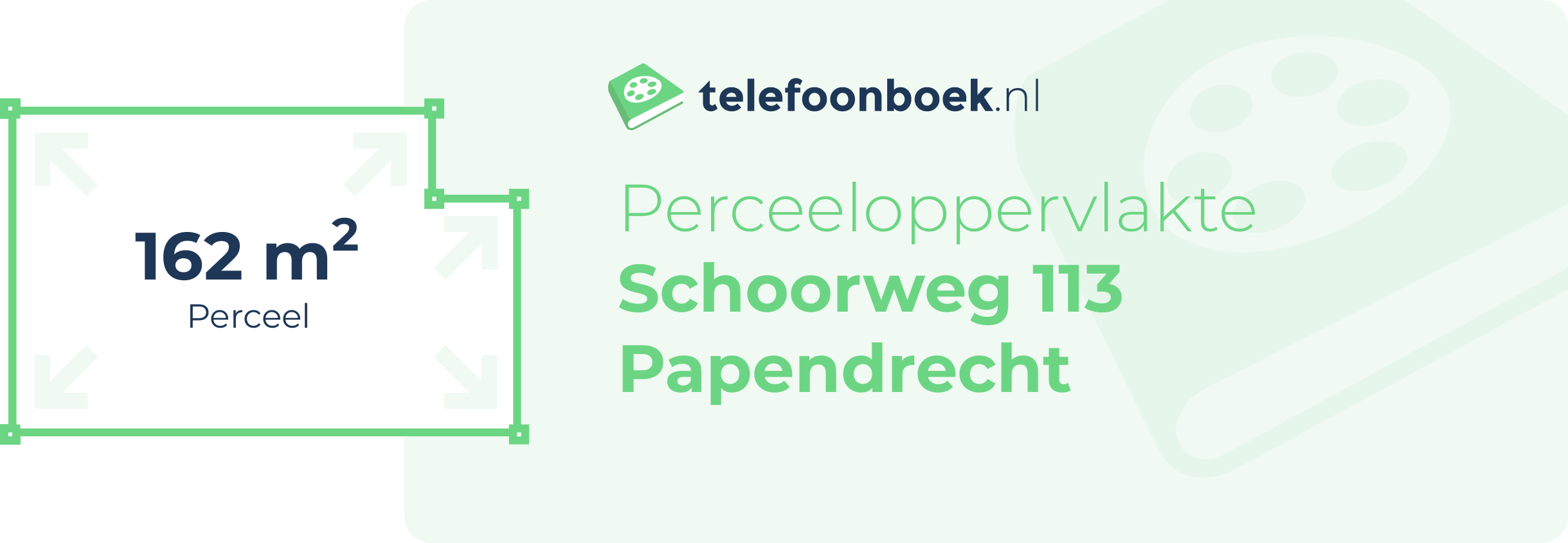 Perceeloppervlakte Schoorweg 113 Papendrecht