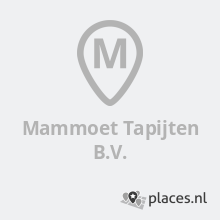 Mammoet Tapijten B.V. in Amsterdam - Vloerkleed en tapijt - Telefoonboek.nl  - telefoongids bedrijven