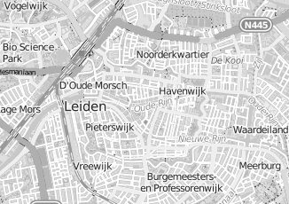 Kaartweergave van Gegevens in Leiden